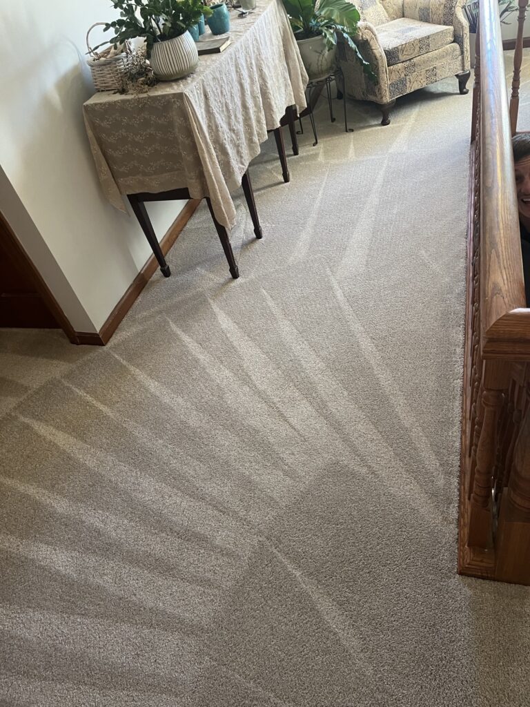 Pet Stain removal after
