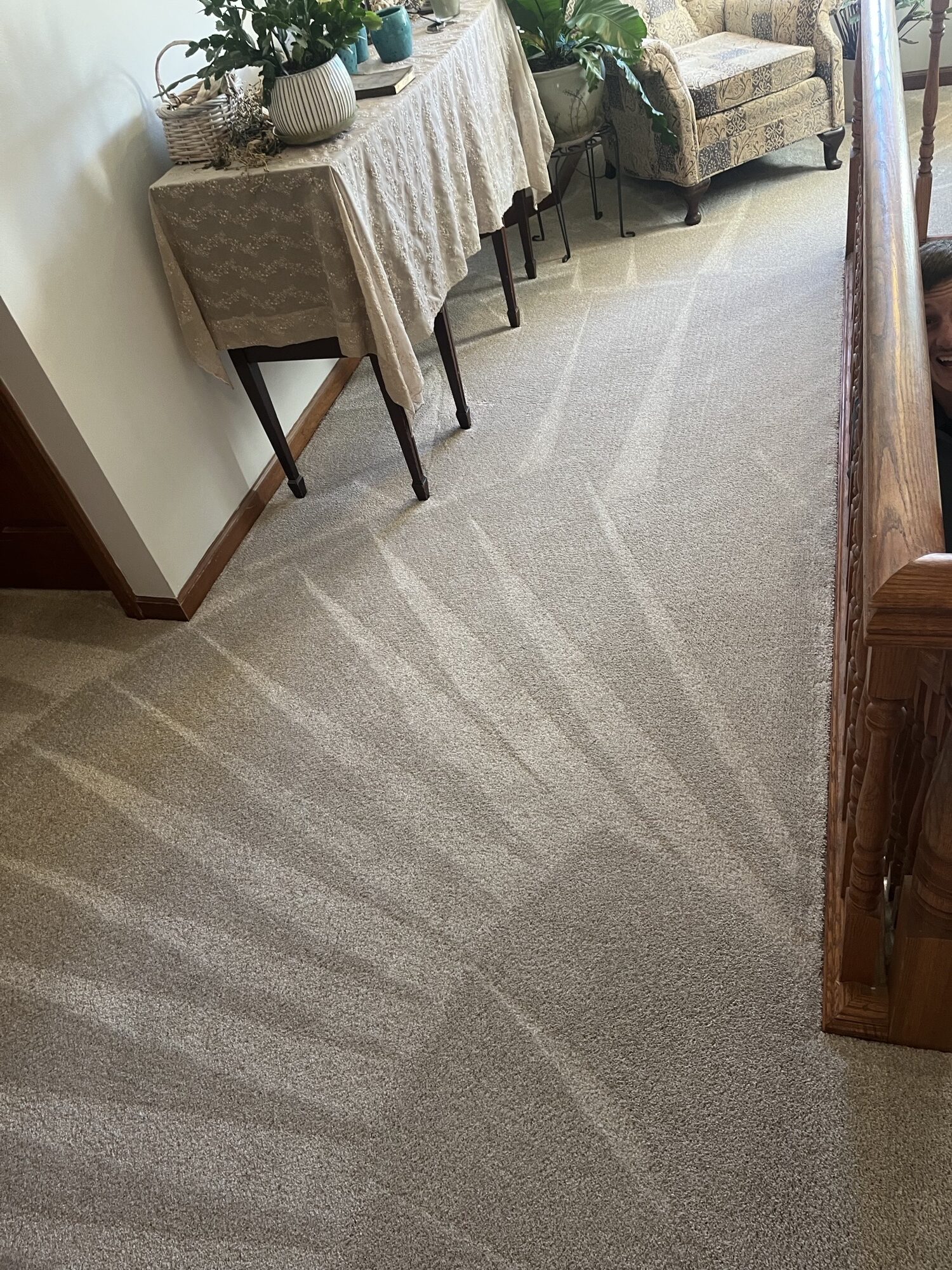 Carpet after professional pet urine stain treatment by Triton Steam Cleaning
